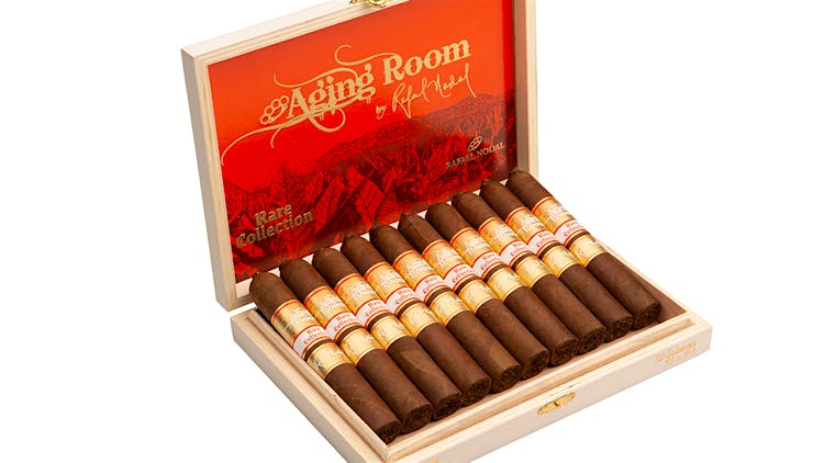 [INTREF000833] AGING ROOM RARE COLLECTION SCHERZO     (55X5 1/2)