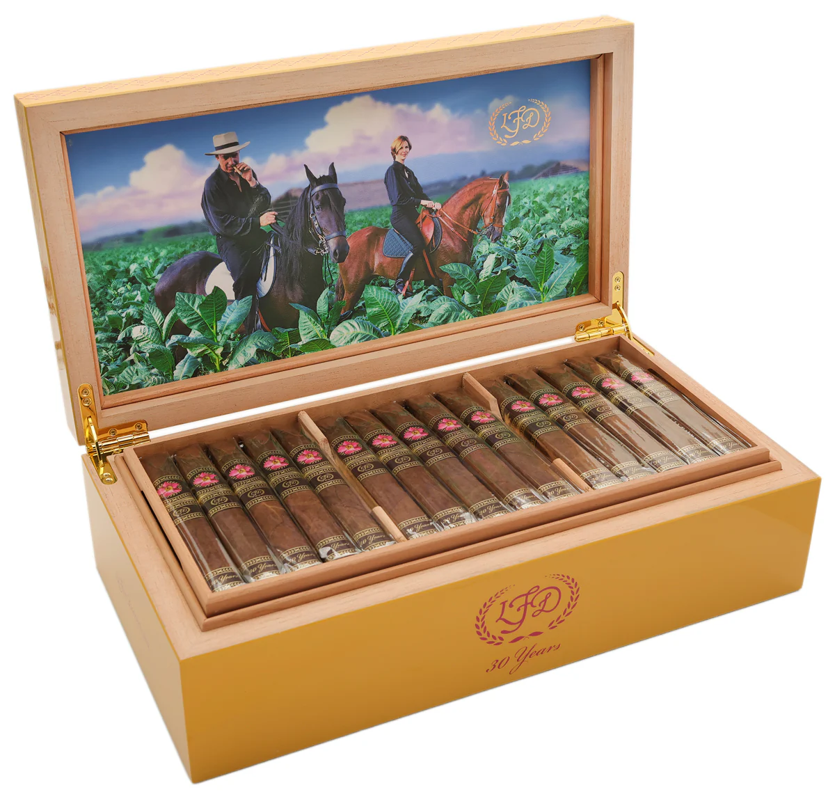 LA FLOR DOMINICANA 30TH ANNIVERSARY HUMIDOR OF 60 CIGARS LFD
