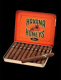 HAVANA HONEYS RUM CIGARILLOS 4x30                            5 Packs of 10 (50)
