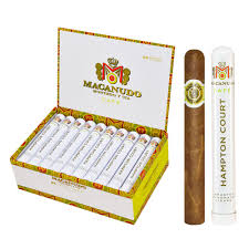 MACANUDO CAFE HAMPTON COURT ALUMINUM TUBE 5-1/2"X42 (25)