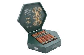 PLASENCIA ALMA FUERTE NATURAL SIXTO I HEX 6X60 (10)
